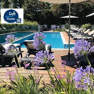Oasis Life Split